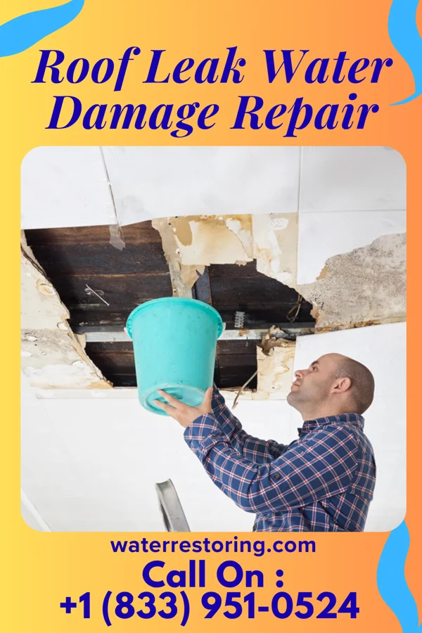 Roof Leak Water Damage Repair in Junction City, KS